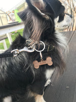 Hundemarke