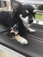 Hundemarke